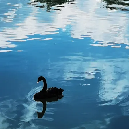 Les Pingouins De La Marne 2 Oda ve Kahvaltı