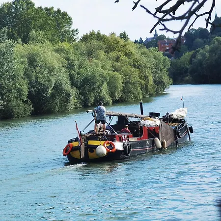 Les Pingouins De La Marne 2
